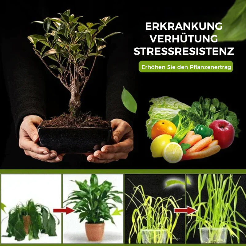 Gluschwein - Bodenaktivierung Lösung
