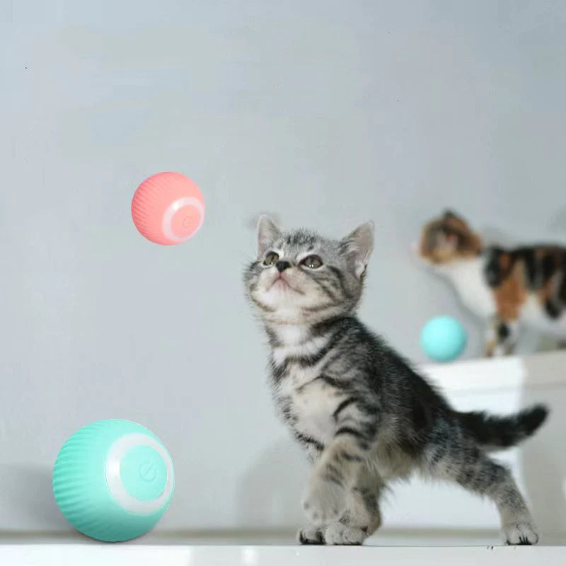 Gluschwein - Intelligenter Elektrischer Selbstrollender Katzenspielzeugball rosa+blau