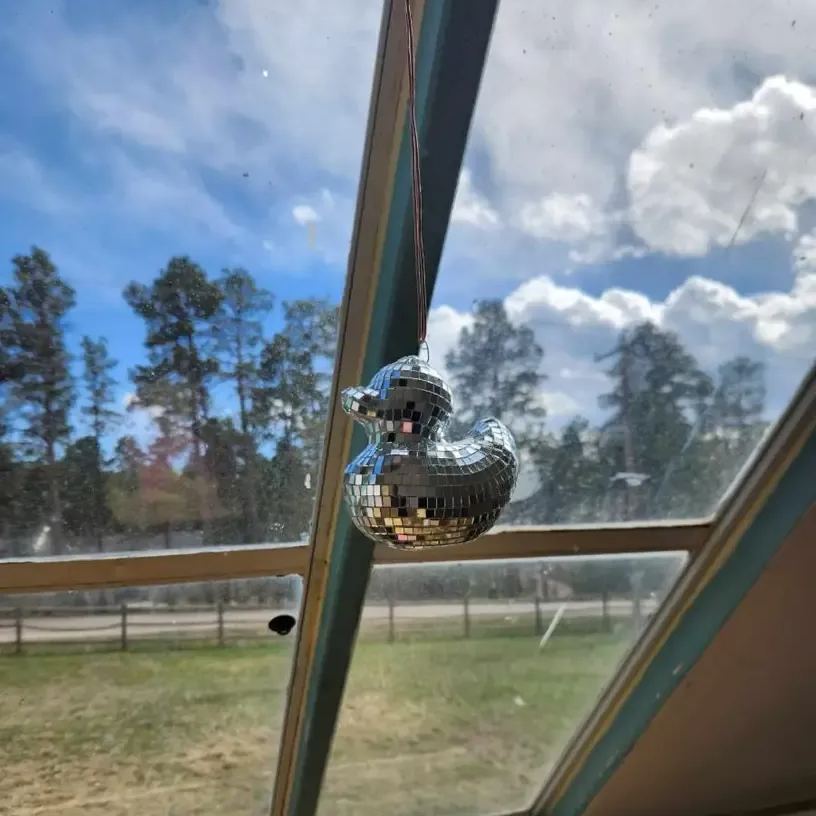 Gluschwein - Charmante Disco Spiegel Ente