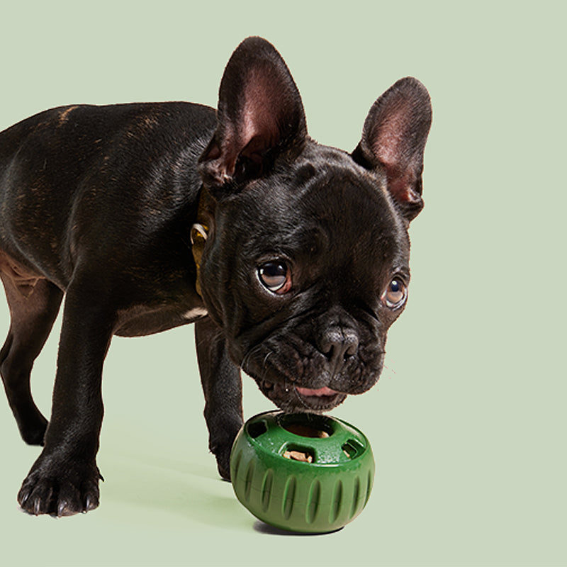 Gluschwein - Ausstopfbares Slow-Food-Spielzeug für Hunde