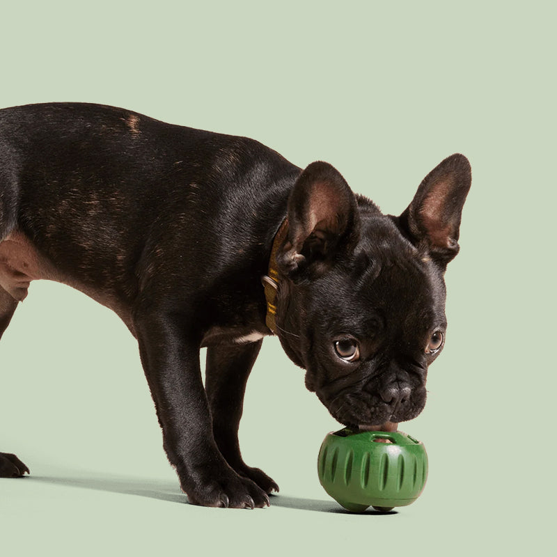 Gluschwein - Ausstopfbares Slow-Food-Spielzeug für Hunde