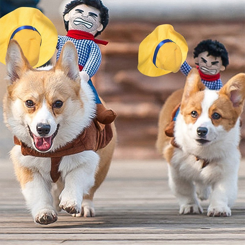 Gluschwein - Hundekostüm - Cowboyreiter