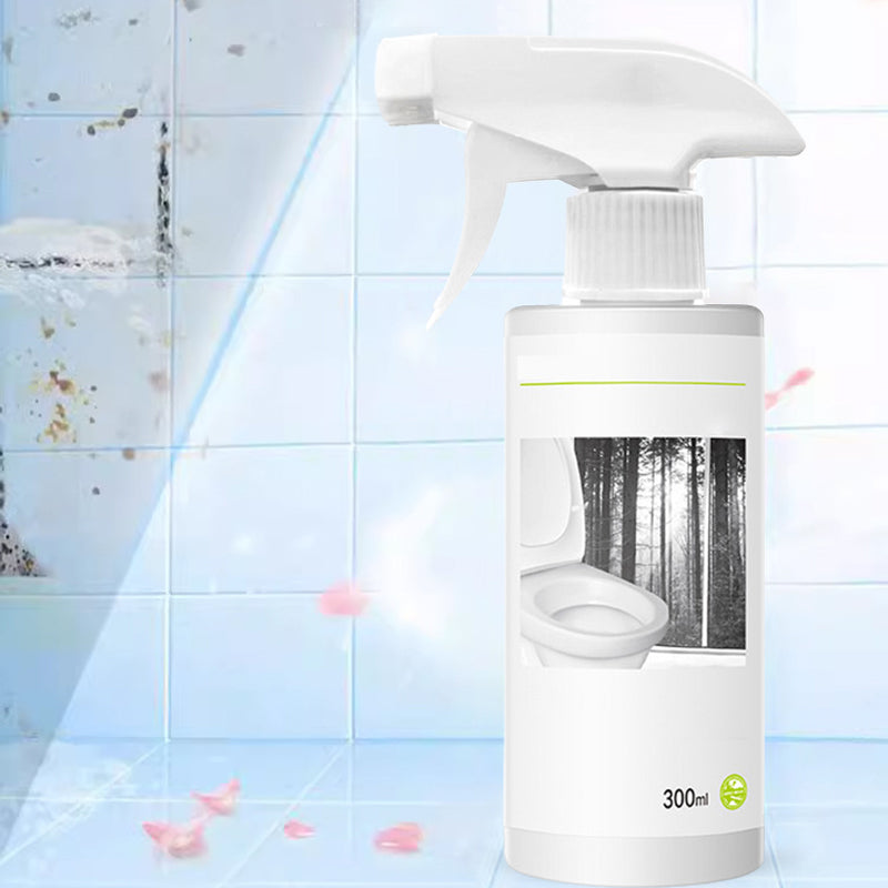 Gluschwein - Leistungsstarker Oxalsäure-Reiniger für Toilettenglasur