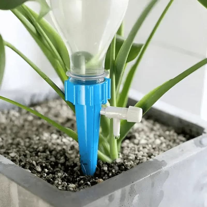 WateringSpout - La solution idéale pour arroser vos plantes pendant vos vacances