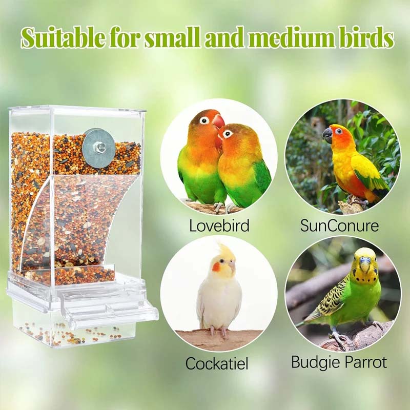 Mangeoire à oiseaux automatique et étanche