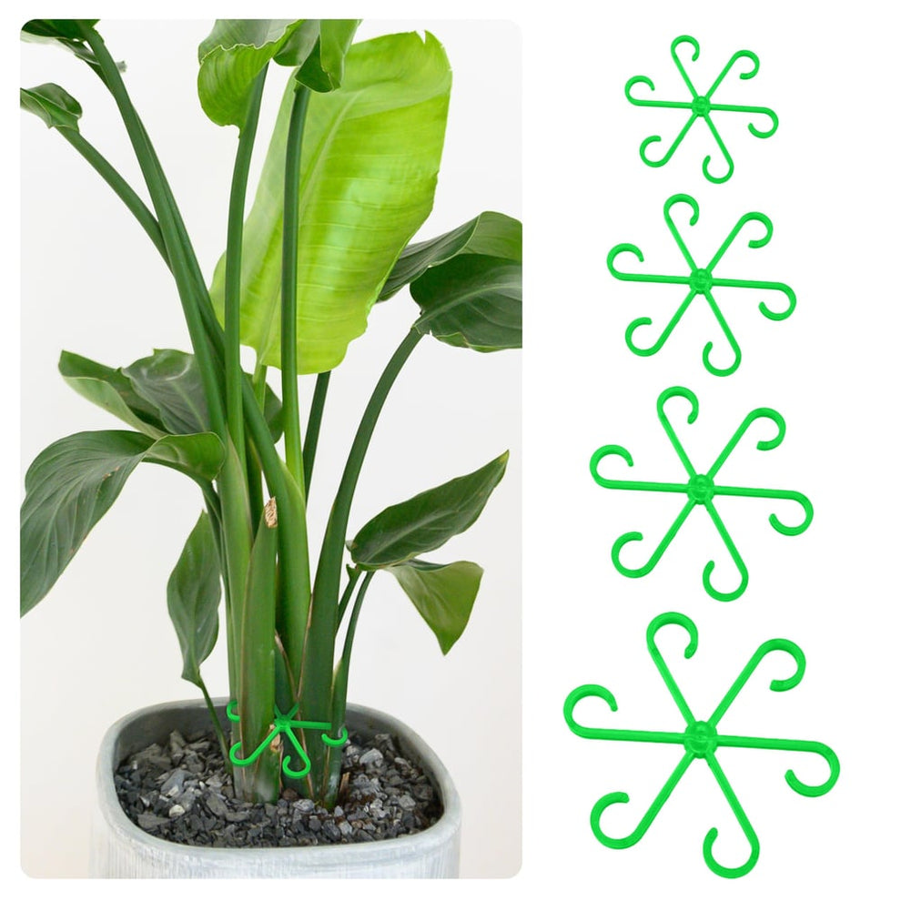 CompactPlant - Kit de stabilisation des tiges de plantes – Pour une croissance saine et une assise sûre