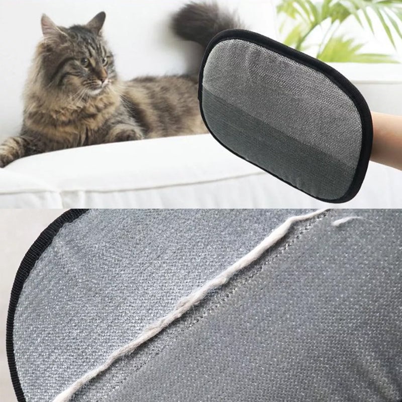 Gant d'épilation pour animaux