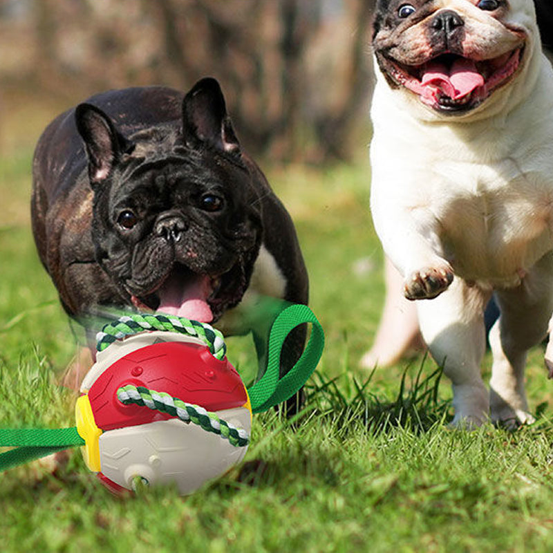 Gluschwein - Bissfestes Hundespielzeug Frisbeefußball