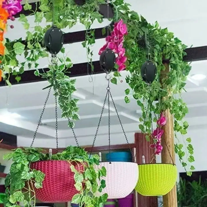 2+2 Gratuit | L'élégant ensemble de suspensions pour plantes d'intérieur