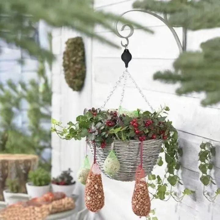 2+2 Gratuit | L'élégant ensemble de suspensions pour plantes d'intérieur