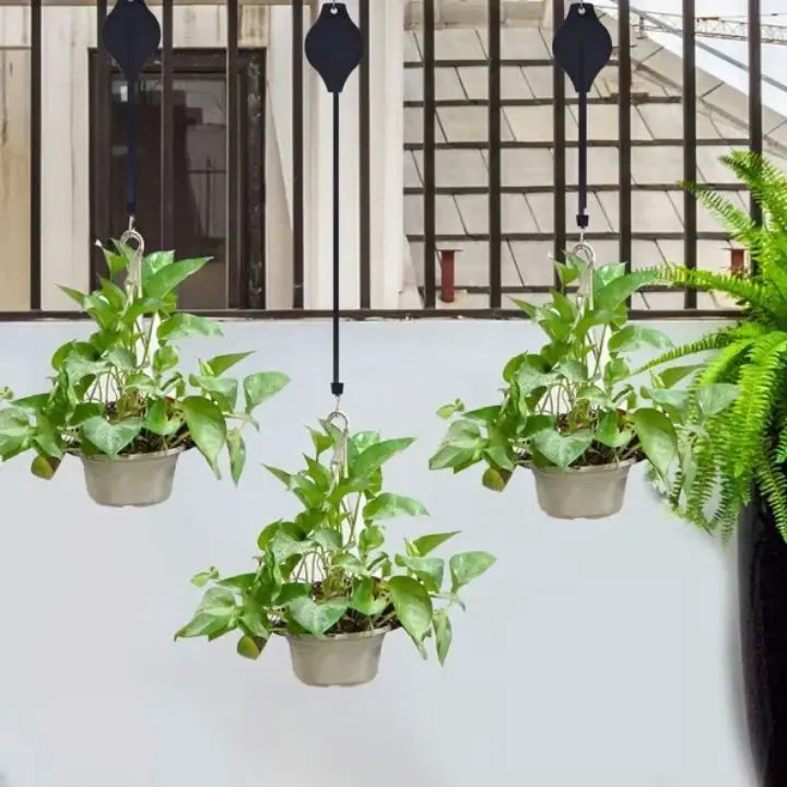 2+2 Gratuit | L'élégant ensemble de suspensions pour plantes d'intérieur