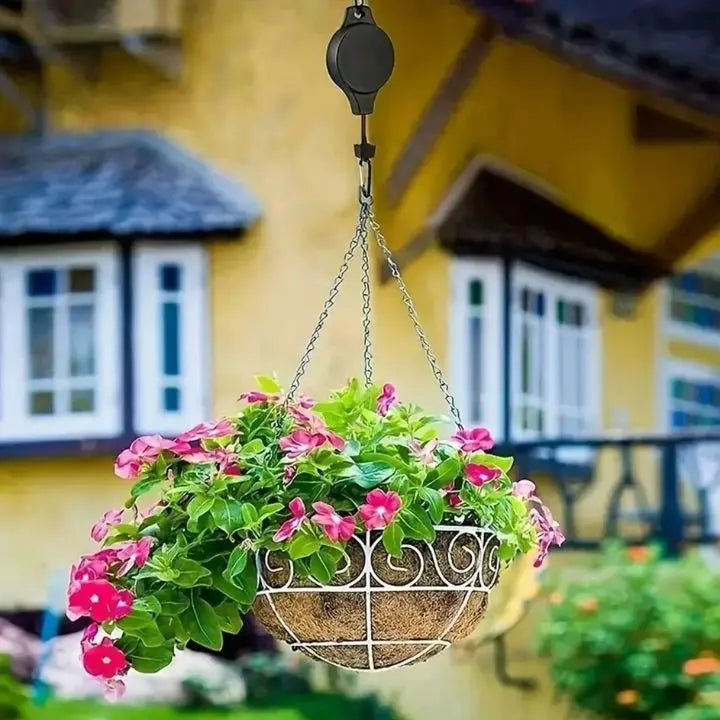 2+2 Gratuit | L'élégant ensemble de suspensions pour plantes d'intérieur