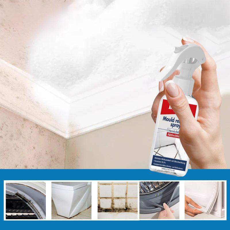 Gluschwein - Mildew removal foam spray