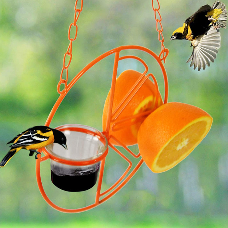 Gluschwein - 2-in-1-Vogelfutterspender zum Aufhängen