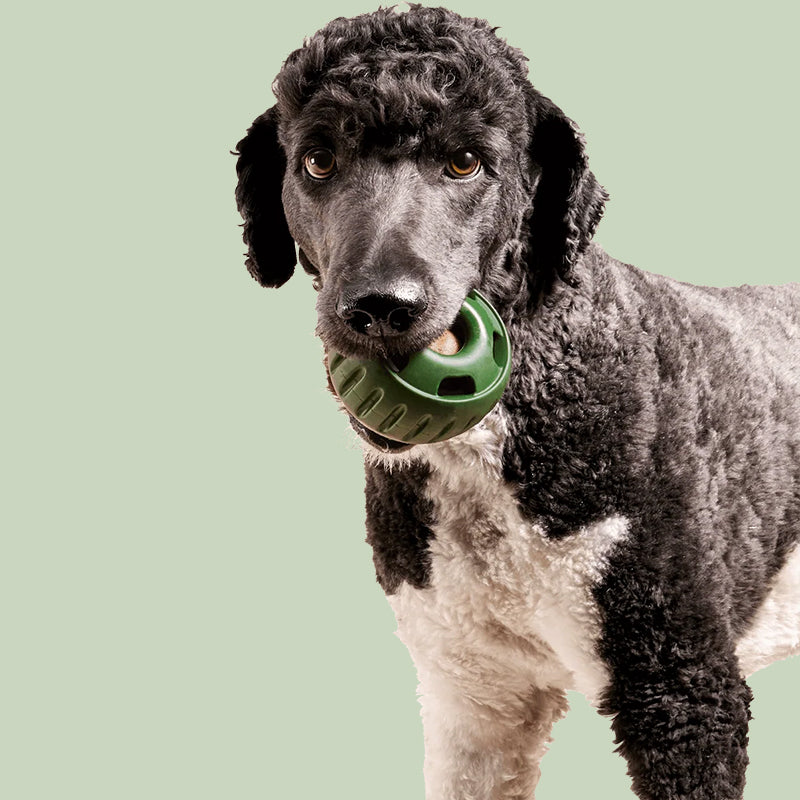Gluschwein - Ausstopfbares Slow-Food-Spielzeug für Hunde