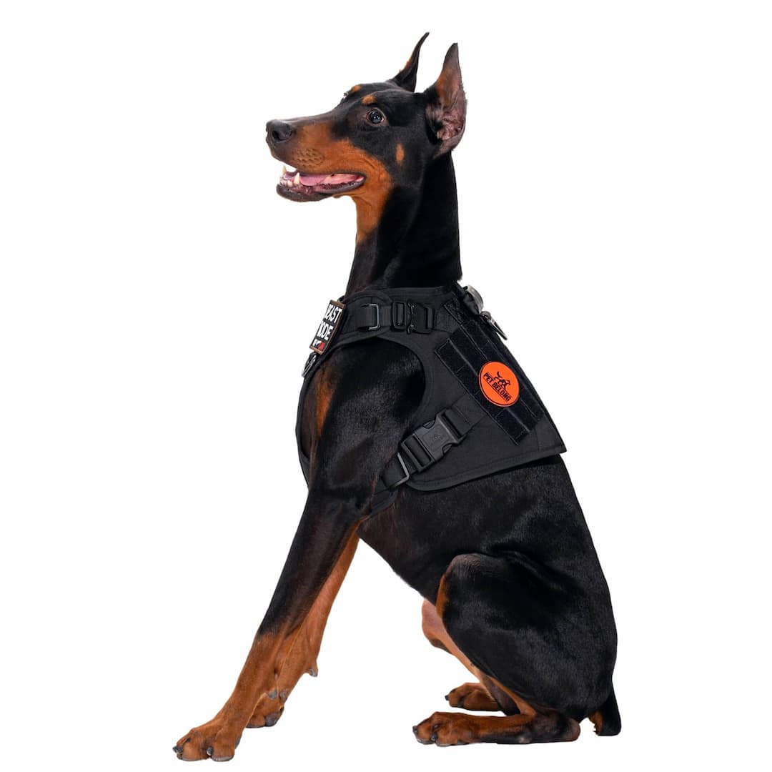 NoPull - Harnais tactique anti-traction pour chien