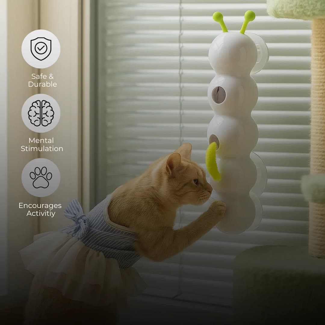 WormWhirl - Juguete interactivo para gatos con movimiento de caracol