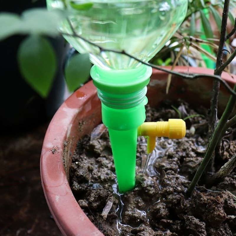 WateringSpout - La solution idéale pour arroser vos plantes pendant vos vacances
