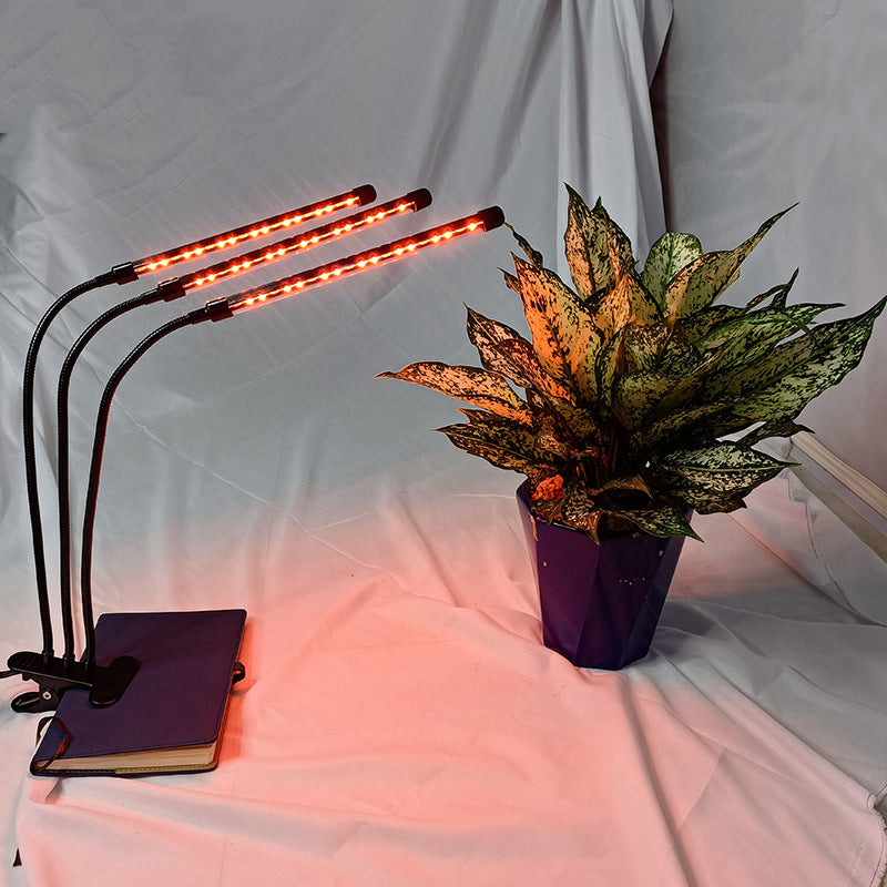Gluschwein - LED-Pflanzenwachstumslicht