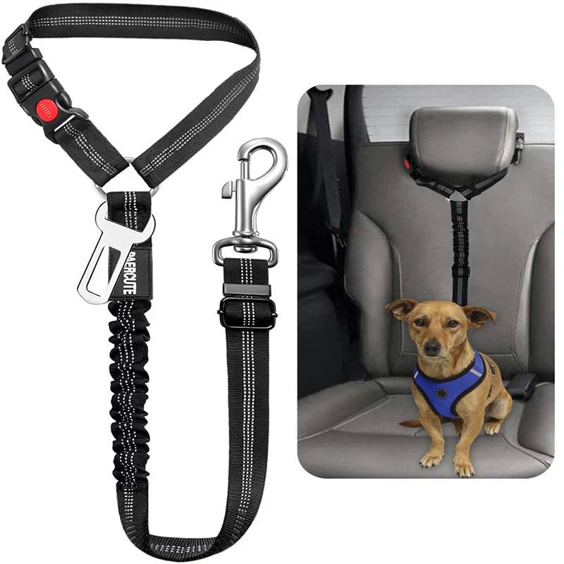 Laisse de ceinture de sécurité pour animaux de compagnie