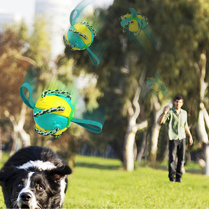 Gluschwein - Bissfestes Hundespielzeug Frisbeefußball
