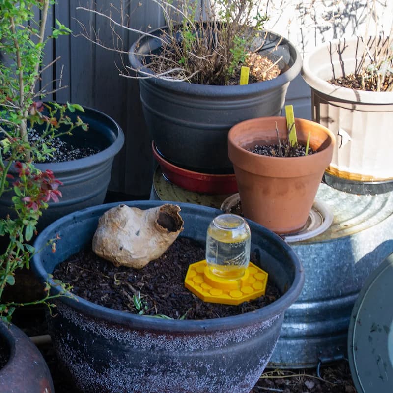 WaterBee - Point d'eau pour abeilles pour vos jardins