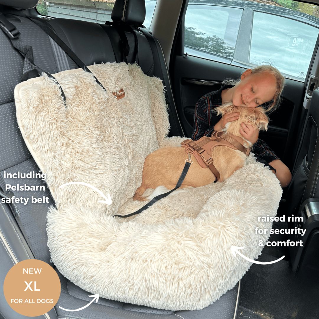 SeatBed
