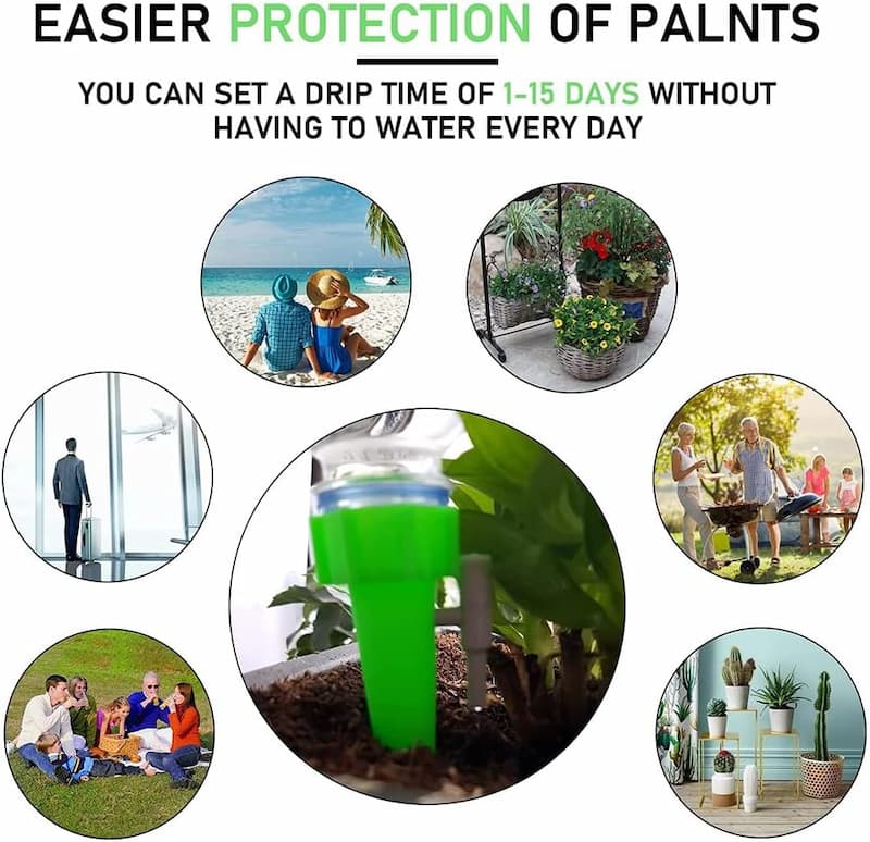 WateringSpout - La solution idéale pour arroser vos plantes pendant vos vacances