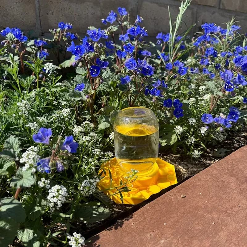 WaterBee - Point d'eau pour abeilles pour vos jardins
