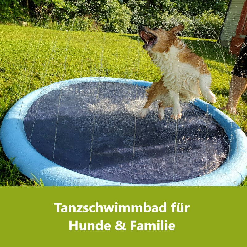 Gluschwein - Tanzschwimmbad für Hunde & Familie
