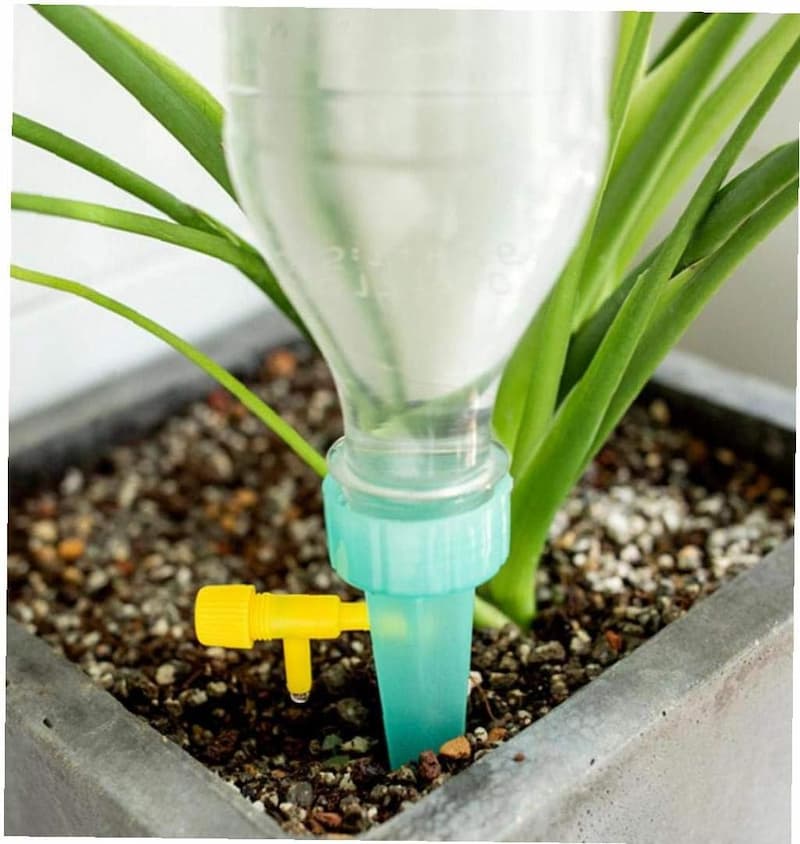 WateringSpout - La solution idéale pour arroser vos plantes pendant vos vacances