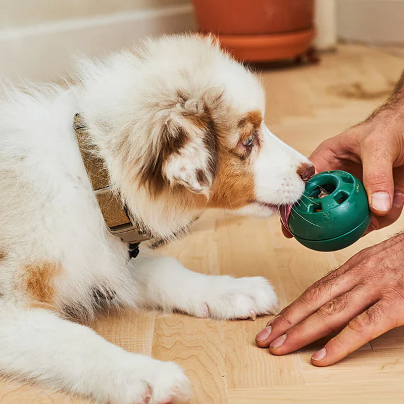 Gluschwein - Ausstopfbares Slow-Food-Spielzeug für Hunde