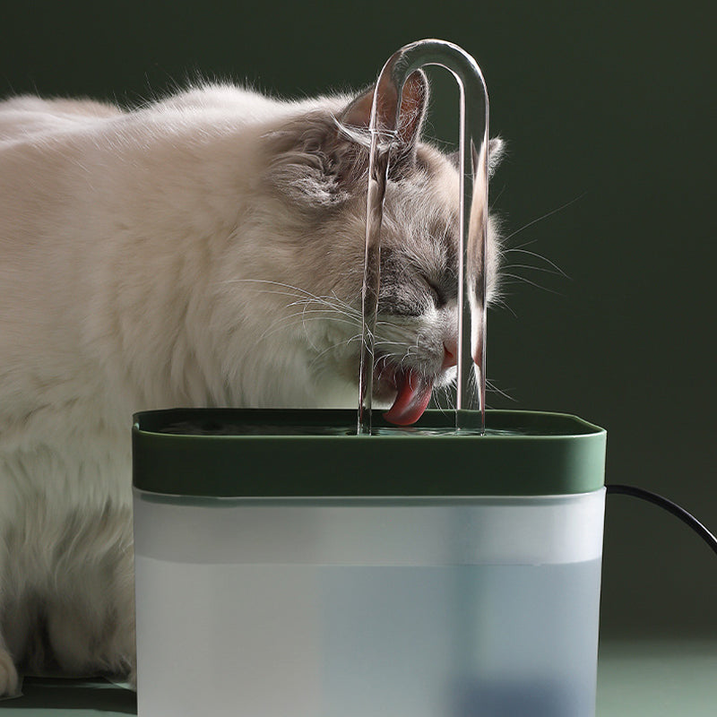 Gluschwein - Automatischer Umlaufwasserspender für Haustiere