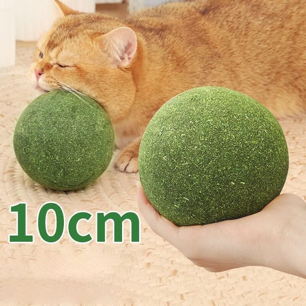 Gluschwein - Riesiger Katzenminze-Ball