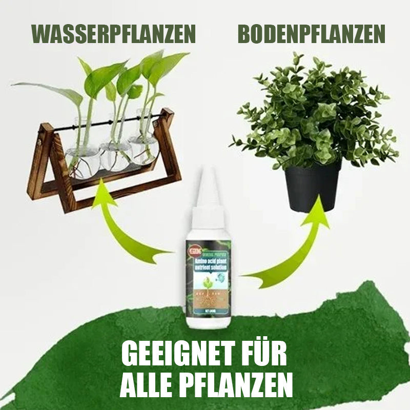 Gluschwein - Praktische Aminosäuren-Pflanzennährlösung