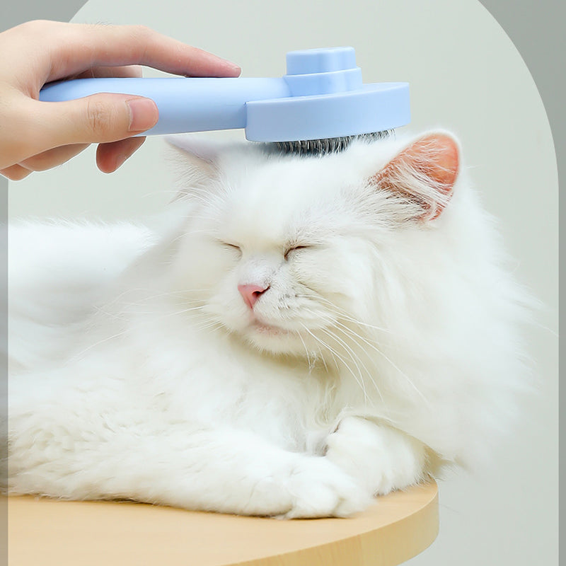 Gluschwein - Katzenpflegebürste