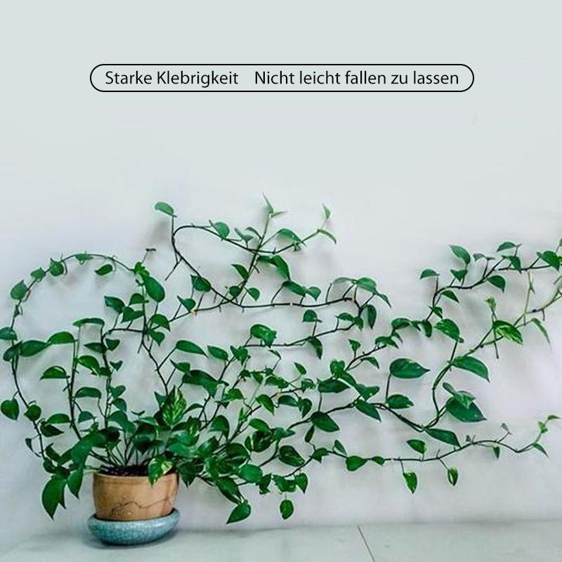 Gluschwein - Pflanzenkletterwandclip