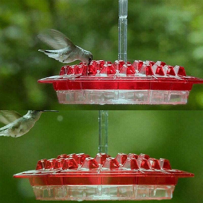 Gluschwein - Hängende rote sechseckige Kolibri-Fütterungsanlage