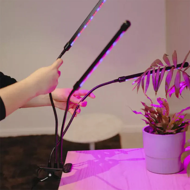 Gluschwein - LED-Pflanzenwachstumslicht