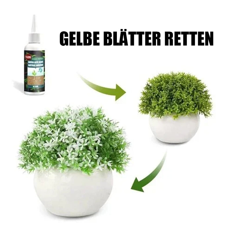 Gluschwein - Praktische Aminosäuren-Pflanzennährlösung