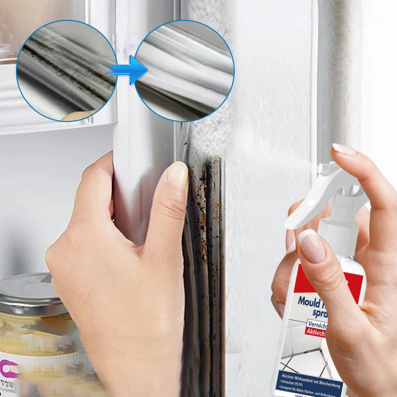 Gluschwein - Mildew removal foam spray