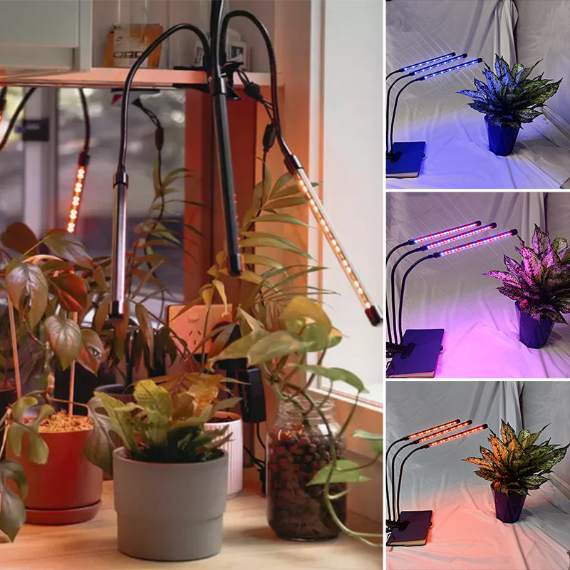 Gluschwein - LED-Pflanzenwachstumslicht