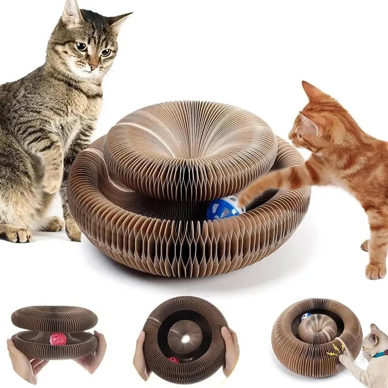 PurrPlay | Un divertissement multifonctionnel pour des chats heureux