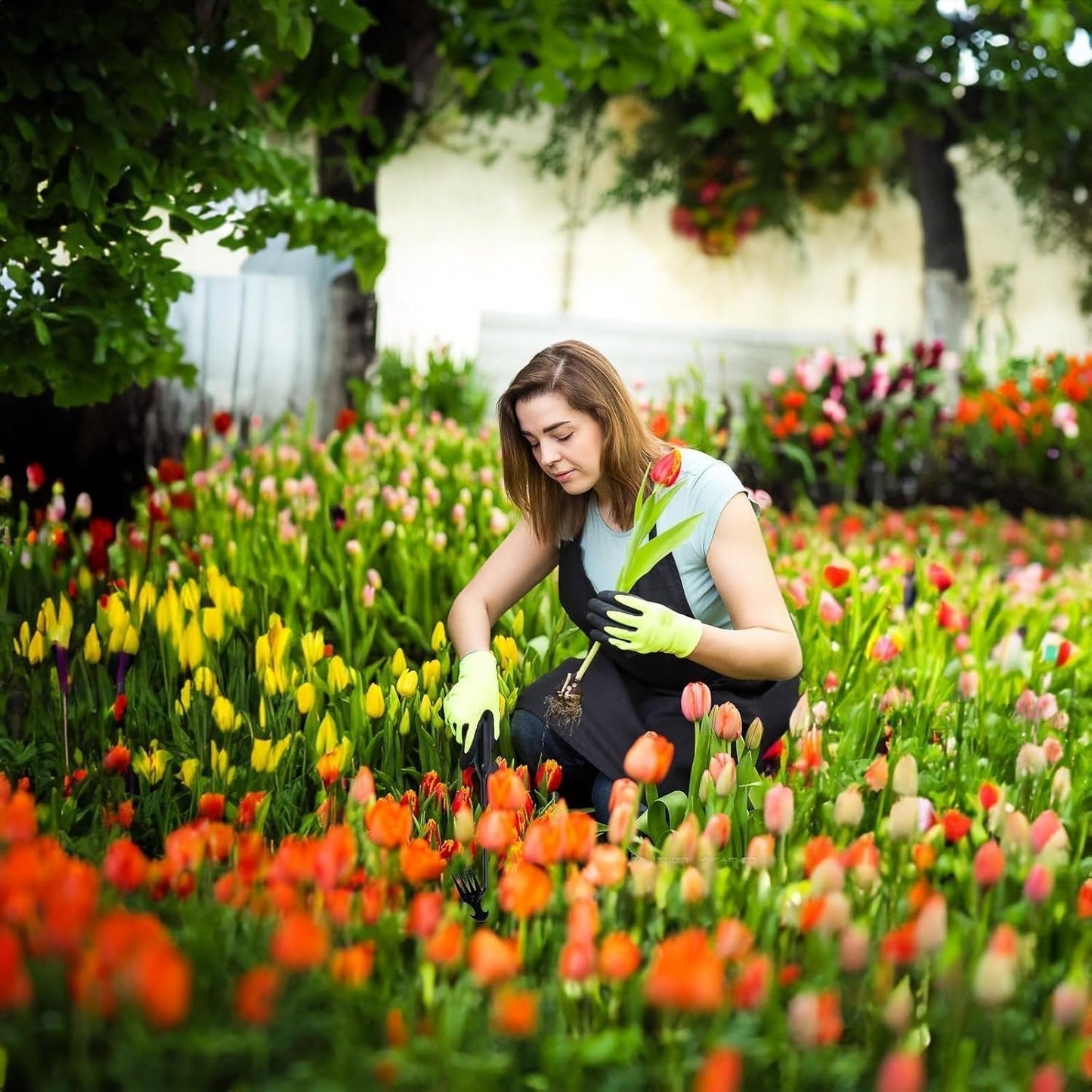 Outils pour désherber au jardin
