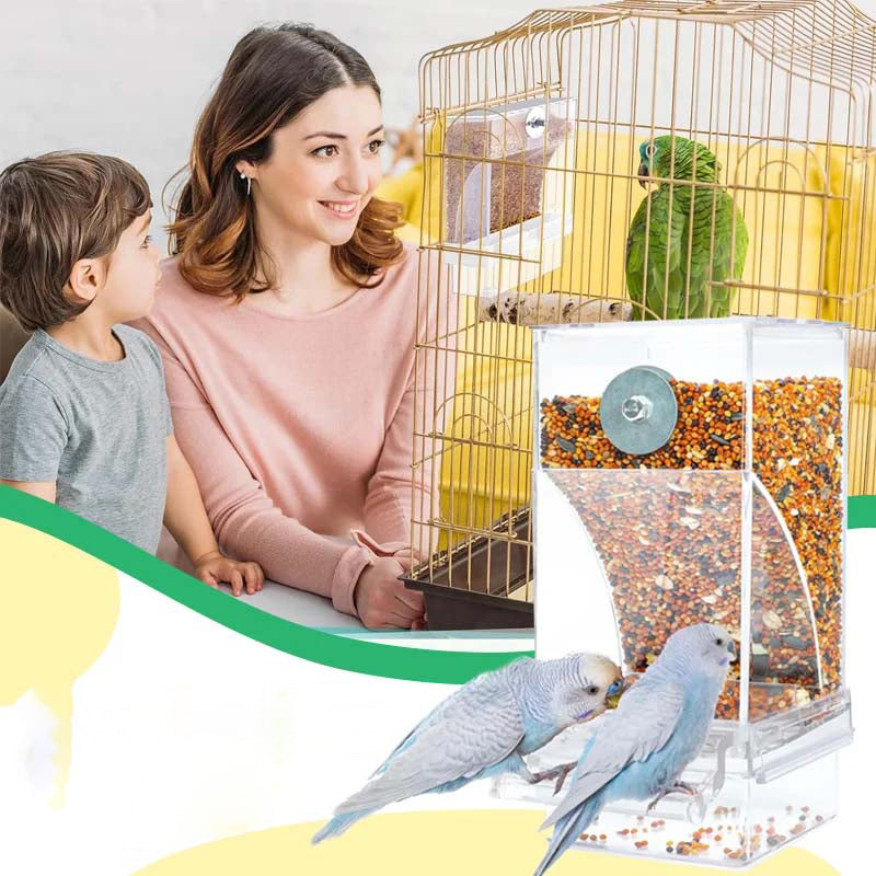 Mangeoire à oiseaux automatique et étanche