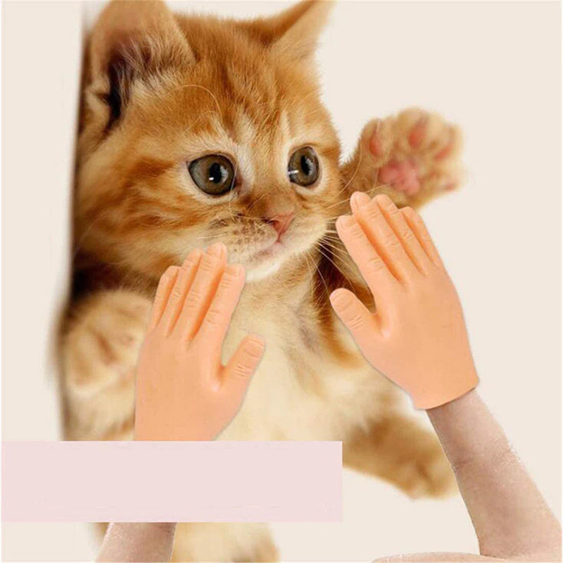 Gluschwein - Lustige Katzen-Massagehandschuhe