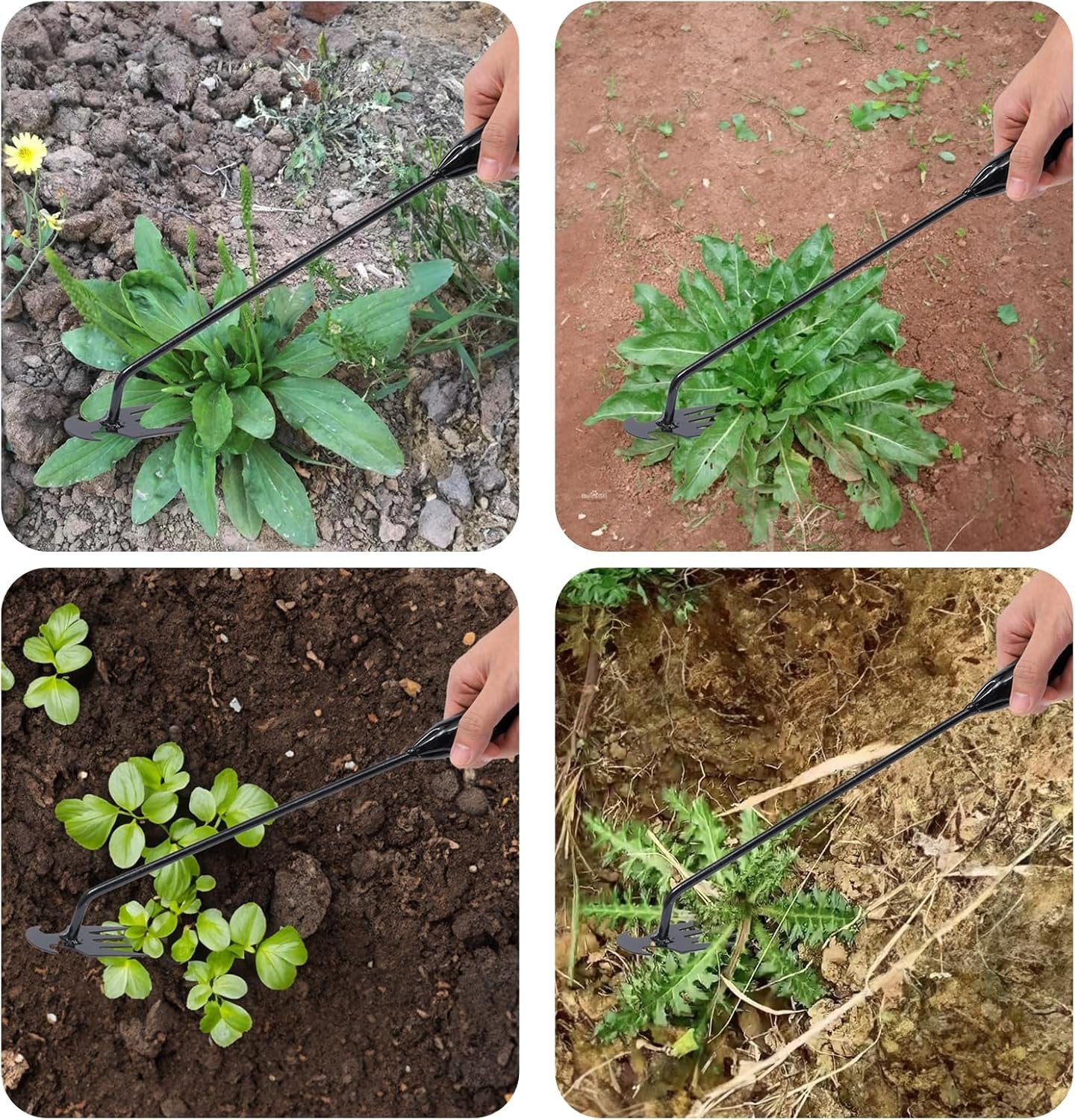 Werkzeug zum Unkrautjäten im Garten