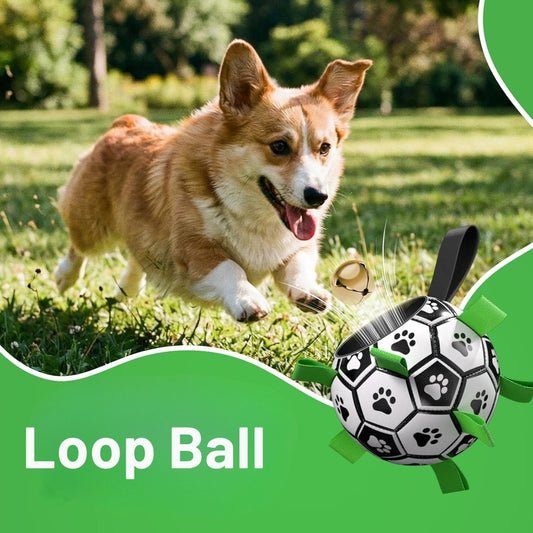 Gluschwein - Loop Ball - Ein Fußball für Hunde, der sich leicht mit den Zähnen greifen lässt