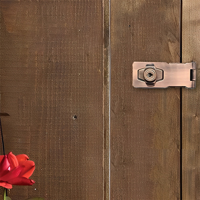 Cabinet Lock - Türschloss mit Scharnierriegel und 2 Schlüssel