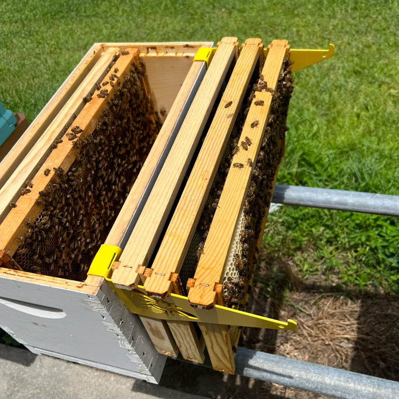 Gluschwein - Praktische Bienenstock-Inspektionshalterung